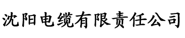 欧美精品亚洲精品日韩专区电缆厂logo